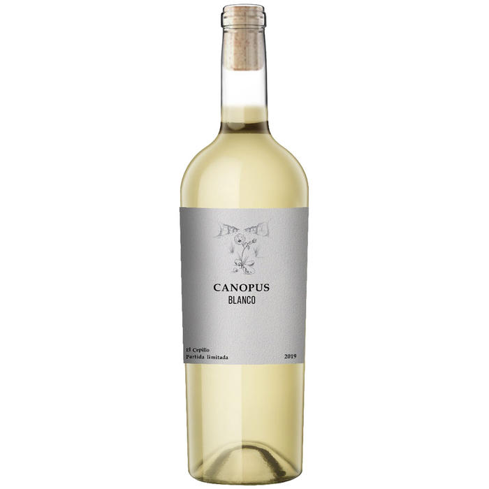 Canopus Blanco 2019 (Sauvignon Blanc)