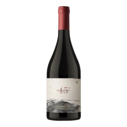Otronia 45 Rugientes Pinot Noir 2019 - Chubut 