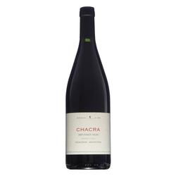 Chacra 32 Pinot Noir 2020 by Piero Incisa della Rocchetta - 98 pts. James Suckling