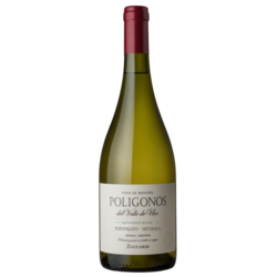 Zuccardi Poligonos Tupungato Sauvignon Blanc 2020