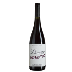 L´amitie Robusto Blend Tinto 2019 by Paco Puga - IGC Valle Calchaqui, Salta. Ultimas Botellas!